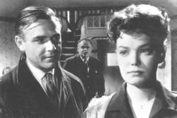 Der Frosch mit der Maske