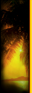 Palmetto