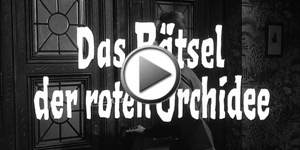 Zum Abspielen klicken!