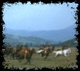 Winnetou II